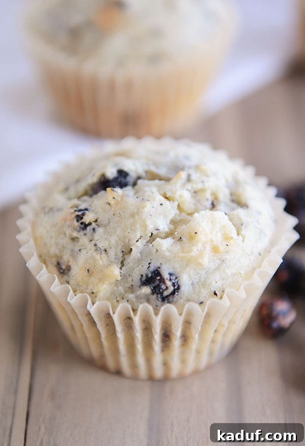 A perfectly baked blueberry cream cheese muffin in a white paper liner, showcasing its golden-brown top and luscious texture.