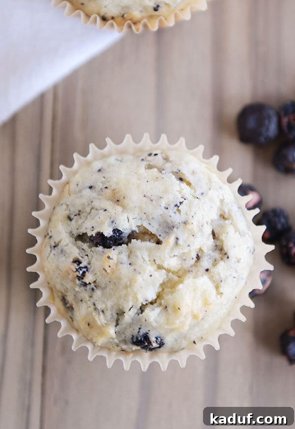 Top-down view of a blueberry cream cheese muffin in a white liner, garnished with fresh blueberries on the side.