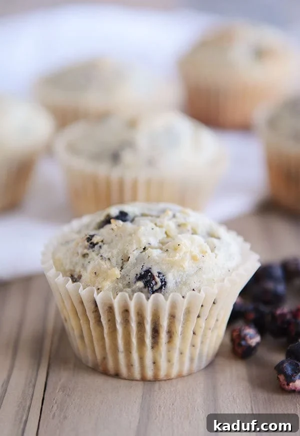 A selection of blueberry cream cheese muffins in white liners, with a generous pile of fresh blueberries beside one in the foreground.