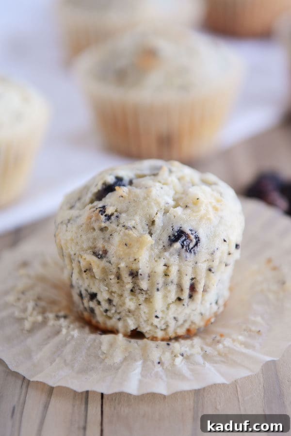 An unwrapped blueberry cream cheese muffin sitting on its paper liner, highlighting its beautifully baked exterior.