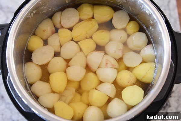 Velvety Instant Pot Mashed Potatoes 3 Cut up potatoes immersed in water in an Instant Pot, ready to cook.