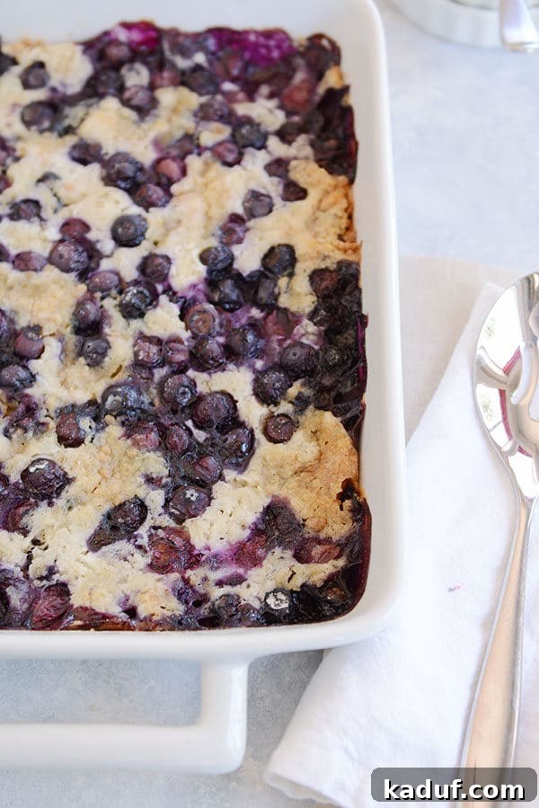 Effortless Blueberry Dump Cake 2 Top view of a white dish full of baked blueberry dump cake, showing a rich, golden-brown crust and bubbling blueberries.