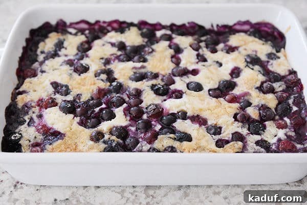 Effortless Blueberry Dump Cake 6 A perfectly baked blueberry dump cake cooling in a white rectangular baking dish, showcasing its rich golden crust and the vibrant blueberry filling peeking through.