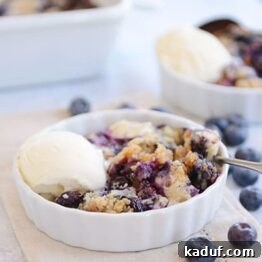 Effortless Blueberry Dump Cake 10 A close-up shot of a single serving of blueberry dump cake, garnished with a sprinkle of powdered sugar and fresh blueberries, ready for enjoyment.