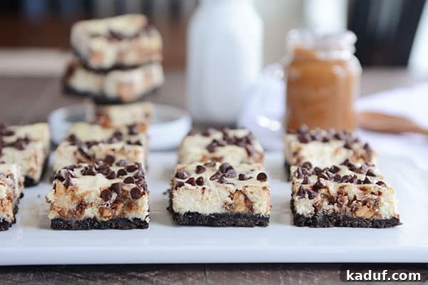 Ultimate Caramel Snickers Cheesecake Bars 6 Chocolate chip sprinkled cheesecake bars with an Oreo crust on a white platter.