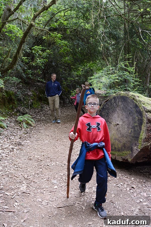 The Laid-Back Guide to Redwood National Forest 13 A family hiking on a flat trail within the Tall Trees Grove, surrounded by nature.