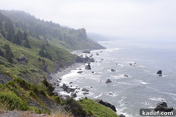 The Laid-Back Guide to Redwood National Forest 22 A beautiful picture of the rugged California coast, showcasing its natural splendor.