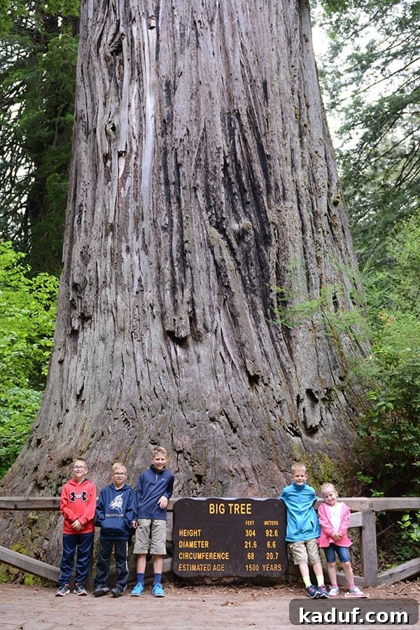 The Laid-Back Guide to Redwood National Forest 6 Five kids standing by Big Tree at Prairie Creek State Park, highlighting its enormous trunk.