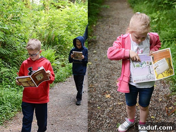 The Laid-Back Guide to Redwood National Forest 8 Kids looking down at Prairie Creek State Park Junior Ranger Booklets, engrossed in their task.