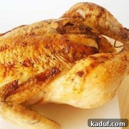 Close-up of a golden-brown honey roast chicken.