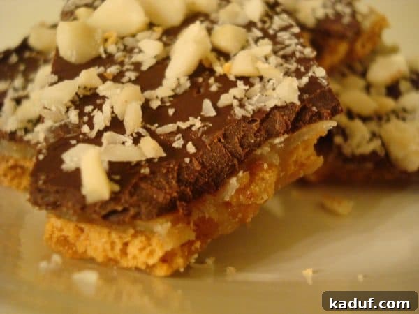 Faux Chocolate Macadamia Toffee Crunch 2 Homemade chocolate toffee with crunchy almonds on top, elegantly presented on a white plate.