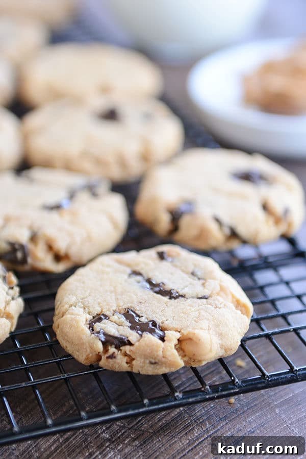 Freshly baked peanut butter chocolate chip cookies cooling on a metal rack.