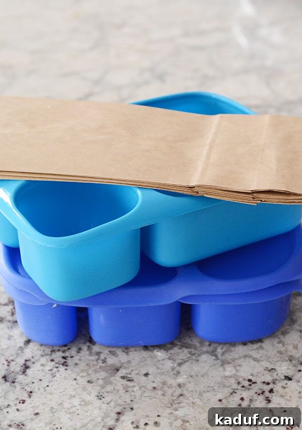 Two vibrant blue bento boxes with packed lunches, ready for school.
