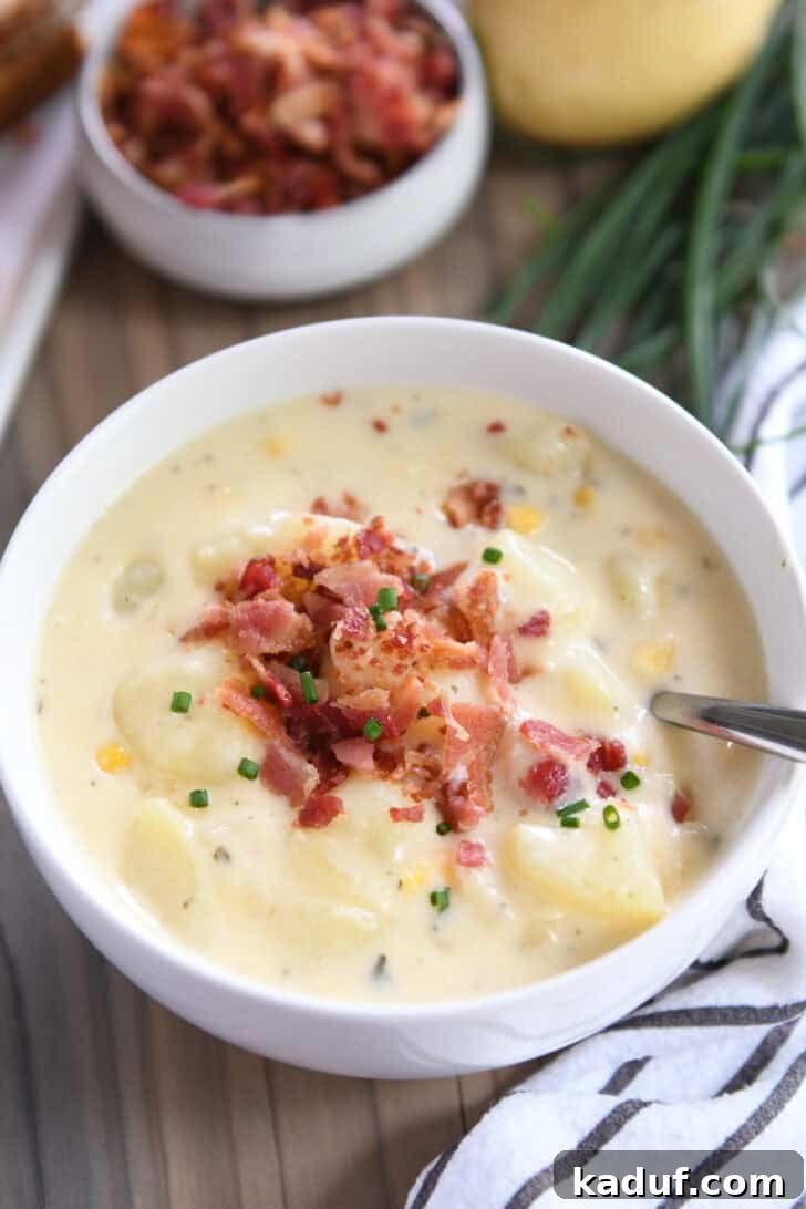 Loaded Instant Pot Cheesy Potato Soup - Kaduf