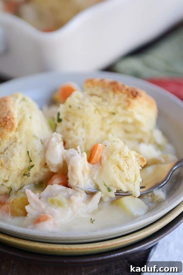 Savory Chicken or Turkey Pot Pie Perfection 2 A steaming bowl of biscuit-topped chicken pot pie, golden brown and ready to eat.