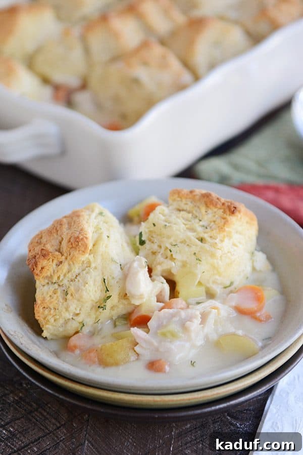 Savory Chicken or Turkey Pot Pie Perfection 5 A rich chicken pot pie filling in a white bowl, topped with two perfectly golden, fluffy biscuits.