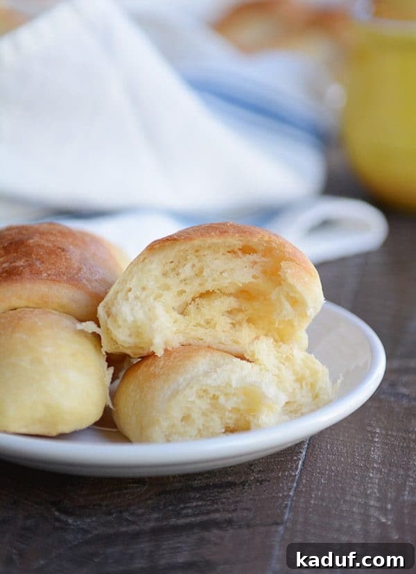 Easy Overnight Buttery Flaky Crescent Rolls 3 A single, perfectly baked crescent roll, split in half to reveal its flaky layers, resting on a white plate.