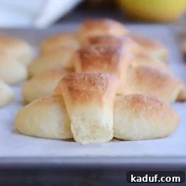 Easy Overnight Buttery Flaky Crescent Rolls 8 Super Easy Buttery, Flaky Overnight Dinner Rolls {No Kneading/No Stand Mixer}