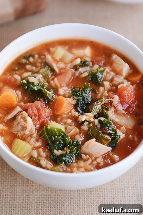 Versatile Poultry and Brown Rice Soup 3 Top view of a white bowl of turkey and brown rice soup, showcasing the colorful ingredients.