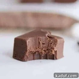 Foolproof Fudge Infinite Flavor Possibilities 7 Easiest-Ever Fudge {Tons of Add-In Options}