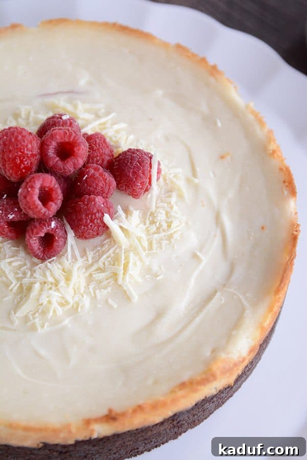 Exquisite White Chocolate Raspberry Truffle Cheesecake 3 A top-down view of a complete white chocolate raspberry truffle cheesecake, beautifully adorned with fresh, glistening raspberries, ready to be served. The swirls of raspberry jam are subtly visible within the creamy white chocolate.