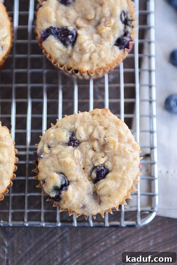 A top-down view of freshly baked Greek Yogurt Oat Blueberry Muffins cooling on a wire rack, steam gently rising.