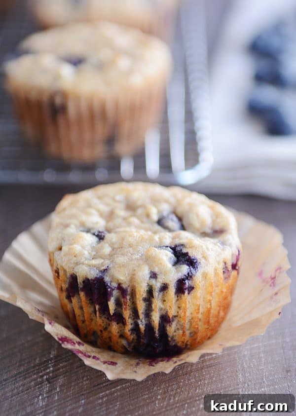 A single healthy Greek yogurt oat blueberry muffin, beautifully unwrapped and sitting on its liner, showcasing its inviting texture.
