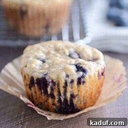 Healthy Yogurt Oat Muffins {with Blueberries or Chocolate Chips!}