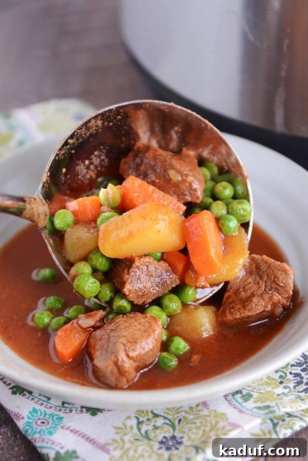 Meltingly Tender Instant Pot Beef Stew 4 A ladle serving a generous portion of Instant Pot beef stew, highlighting the succulent beef, carrots, and potatoes, into a waiting bowl.