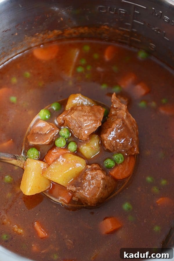 Meltingly Tender Instant Pot Beef Stew 6 The Instant Pot's inner pot, brimming with cooked beef stew, a ladle gracefully scooping out tender beef and vegetables.