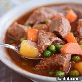 A bowl of the best Instant Pot Beef Stew, rich with vegetables and tender meat.