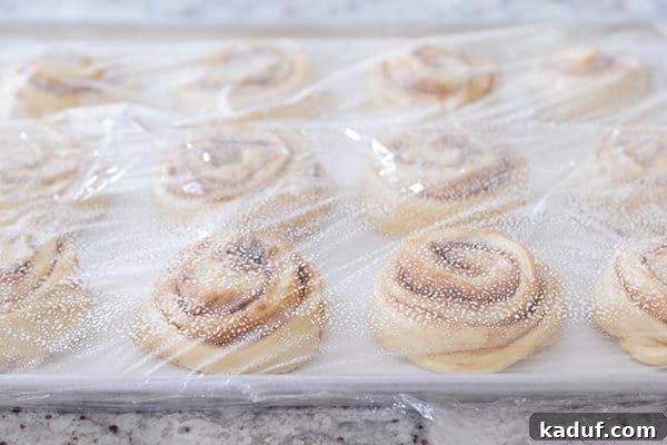 Overnight Cinnamon Rolls for Effortless Mornings 6 A baking pan of uncooked cinnamon rolls, securely covered with lightly greased plastic wrap, ready for refrigeration.