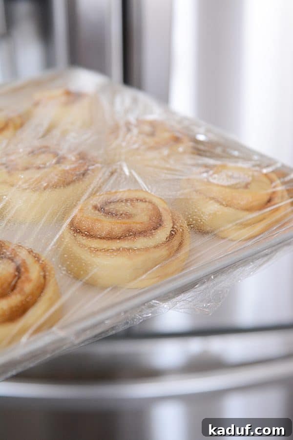 Overnight Cinnamon Rolls for Effortless Mornings 7 Uncooked cinnamon rolls rising gently under plastic wrap in the refrigerator, showing a subtle increase in volume.
