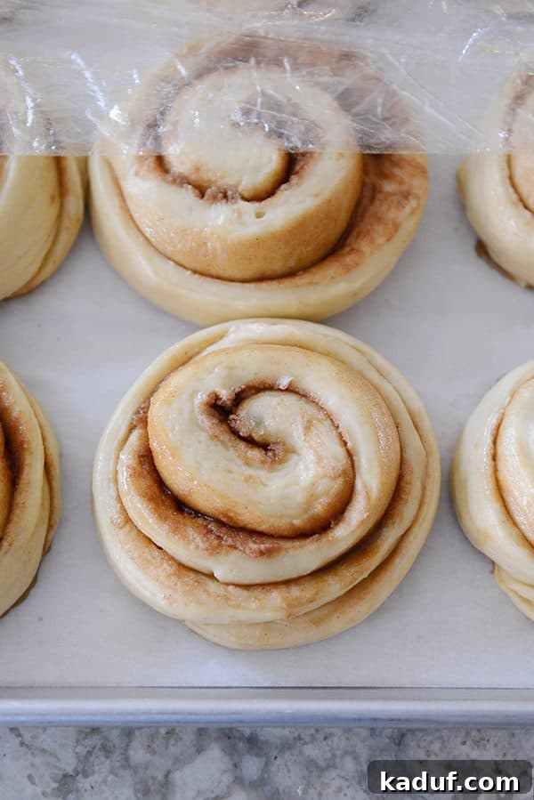 Overnight Cinnamon Rolls for Effortless Mornings 8 Hands carefully placing plastic wrap over a tray of uncooked cinnamon rolls, sealing them for refrigeration.