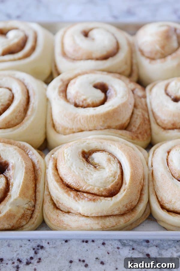 Overnight Cinnamon Rolls for Effortless Mornings 9 A sheet pan of beautifully baked, unfrosted cinnamon rolls, golden brown and perfectly risen.