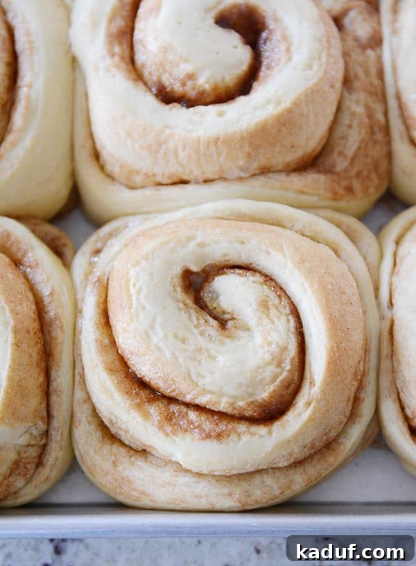 Overnight Cinnamon Rolls for Effortless Mornings 10 Top-down view of a pan of freshly baked, unfrosted cinnamon rolls, showcasing their golden-brown tops and perfectly swirled centers.