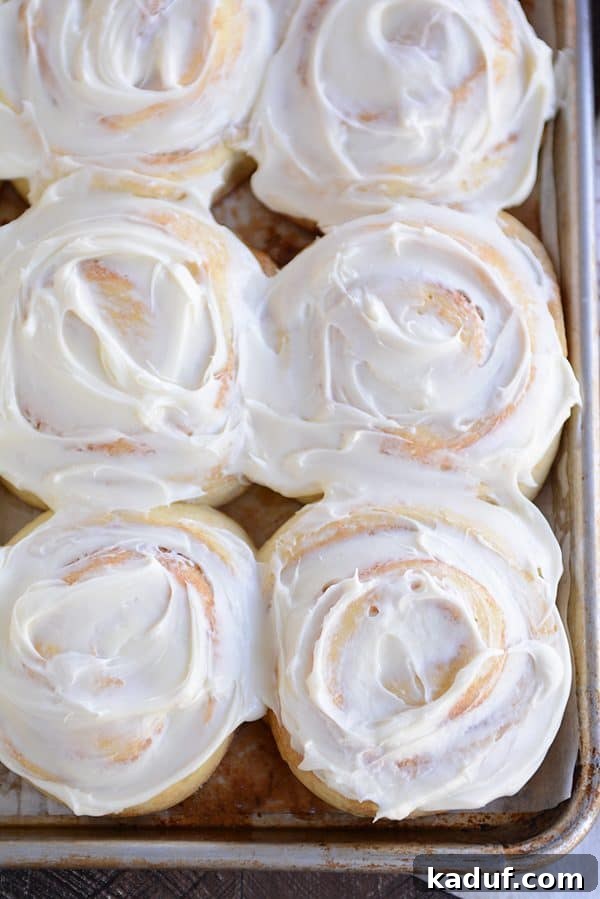 Overnight Cinnamon Rolls for Effortless Mornings 11 A close-up top-down shot of a pan of generously frosted cinnamon rolls, showcasing the luscious icing.