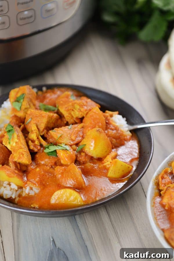 Creamy Instant Pot Indian Butter Chicken with Tender Potatoes 3 A dark bowl showcasing succulent pieces of chicken and tender potato curry served over fluffy white rice.