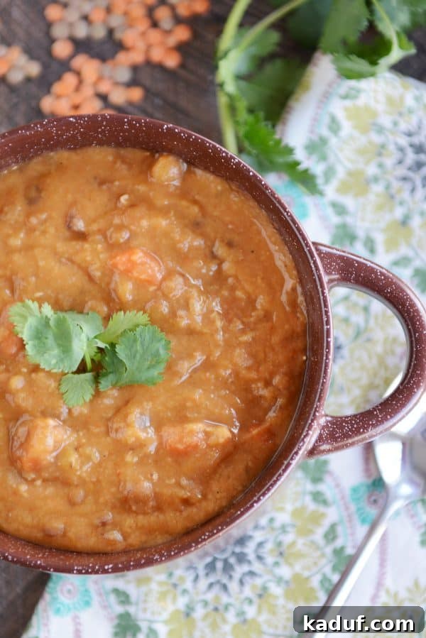 Velvety Lemon Lentil Soup: Instant Pot and Stovetop Friendly 3 An overhead shot of a large pot filled with a steaming, thick, and creamy lentil soup, ready to be served.