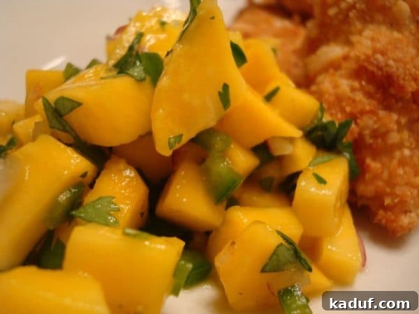Tropical Macadamia Chicken with Sweet Mango Salsa 4 Close-up of macadamia-crusted chicken served with a vibrant mango salsa, showcasing the golden texture of the chicken and the fresh colors of the salsa.