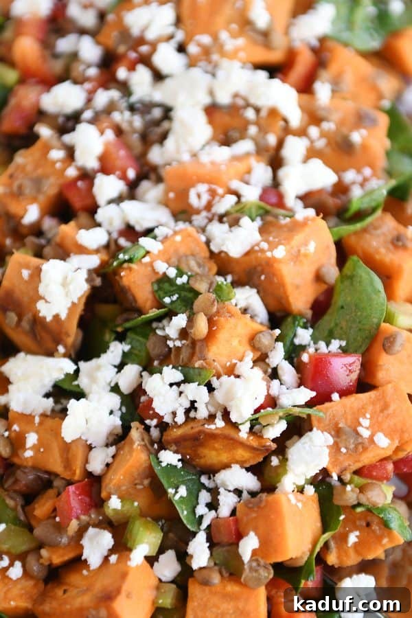 Hearty Roasted Sweet Potato Lentil Medley 2 Top view of roasted sweet potato and lentil salad, showcasing vibrant colors.
