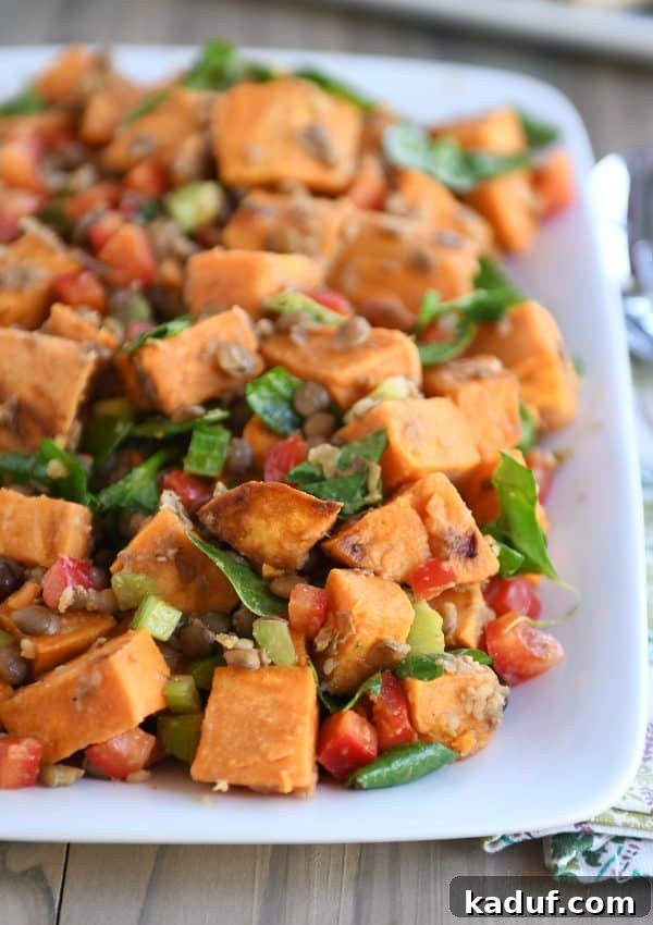 Hearty Roasted Sweet Potato Lentil Medley 4 Close-up of roasted sweet potato and lentil salad, showing texture and ingredients.