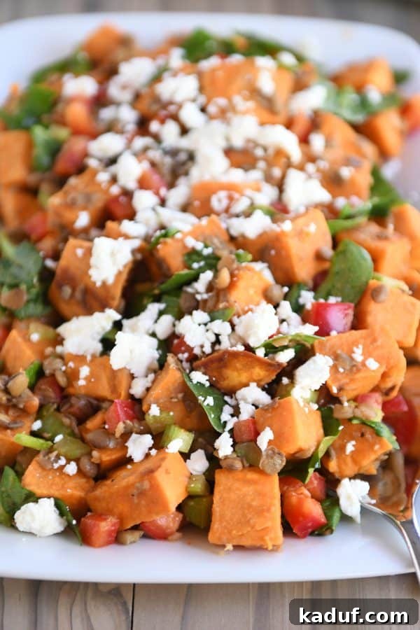 Hearty Roasted Sweet Potato Lentil Medley 5 A serving of roasted sweet potato and lentil salad in a bowl.