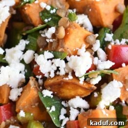 Roasted Sweet Potato Lentil Salad