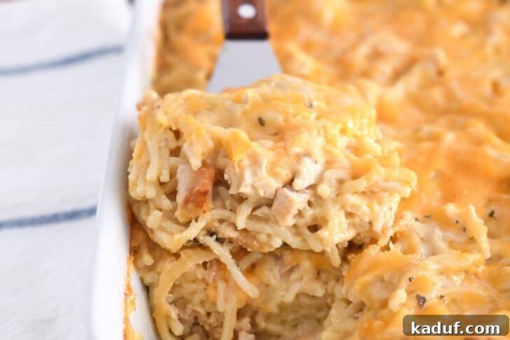 Spatula holding square of cheesy chicken spaghetti in white pan with the rest of the casserole.