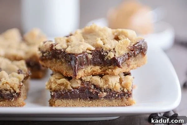 Easy Peanut Butter Fudge Bars