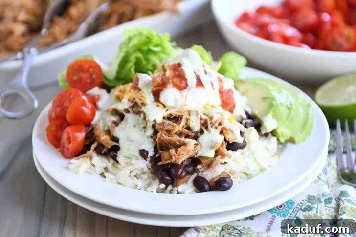 White plate with cilantro lime rice, black beans, sweet pork and toppings.