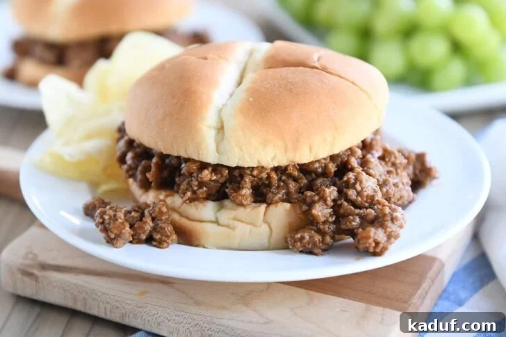 sloppy joe on white plate