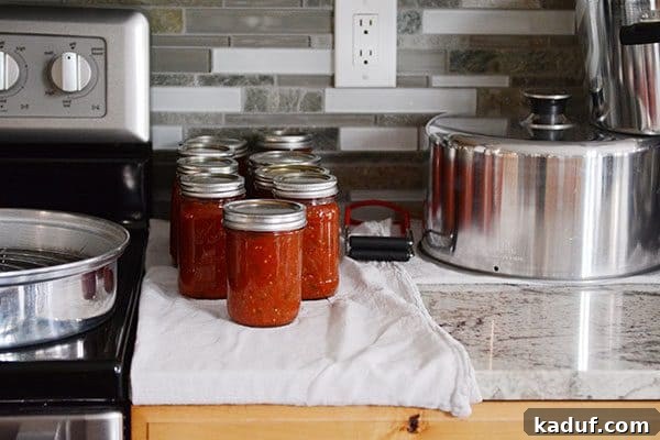 DIY Homemade Canned Spaghetti Sauce Step by Step 4 Small Batch Canning: A How-To Resource