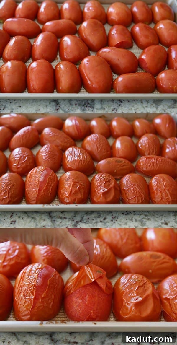 DIY Homemade Canned Spaghetti Sauce Step by Step 5 Broiling tomatoes to remove skins for homemade canned spaghetti sauce recipe.